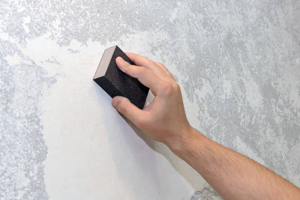 Mold Odor Removal Services in Bellwood, IL