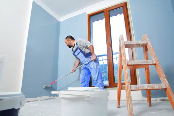 Best Biohazard Mold Removal  in Bellwood, IL