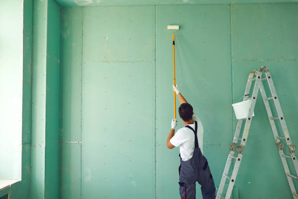 Best Post-Construction Mold Inspection  in Bellwood, IL
