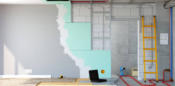 Best Mold Damage Restoration  in Bellwood, IL