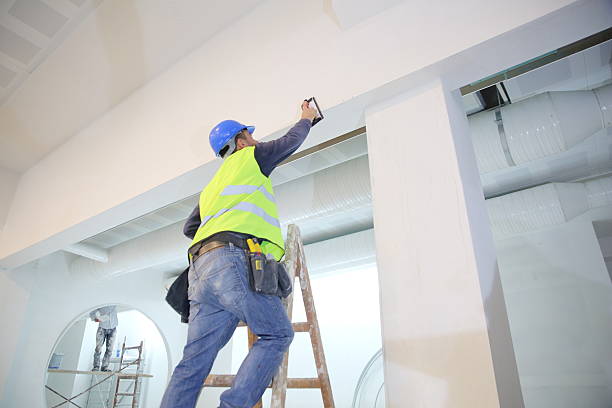 Dehumidification Services in Bellwood, IL