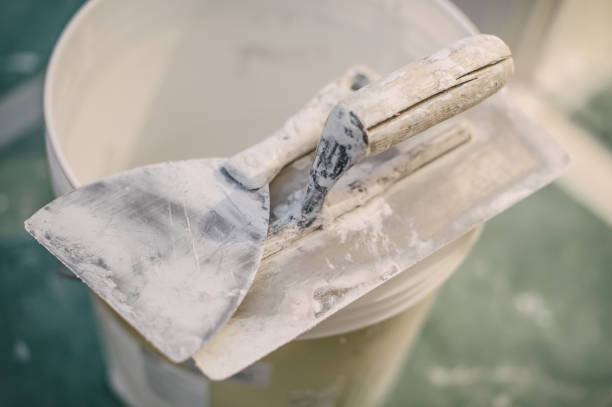 Best Environmental Consulting for Mold Prevention  in Bellwood, IL